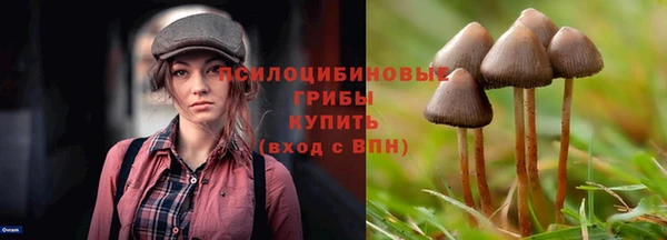 синтетический гашиш Алексеевка