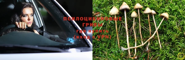 синтетический гашиш Алексеевка