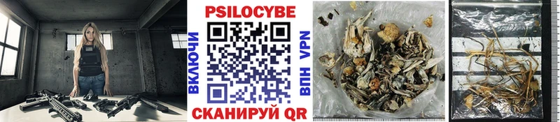Галлюциногенные грибы Psilocybine cubensis  купить закладку  Омутнинск 